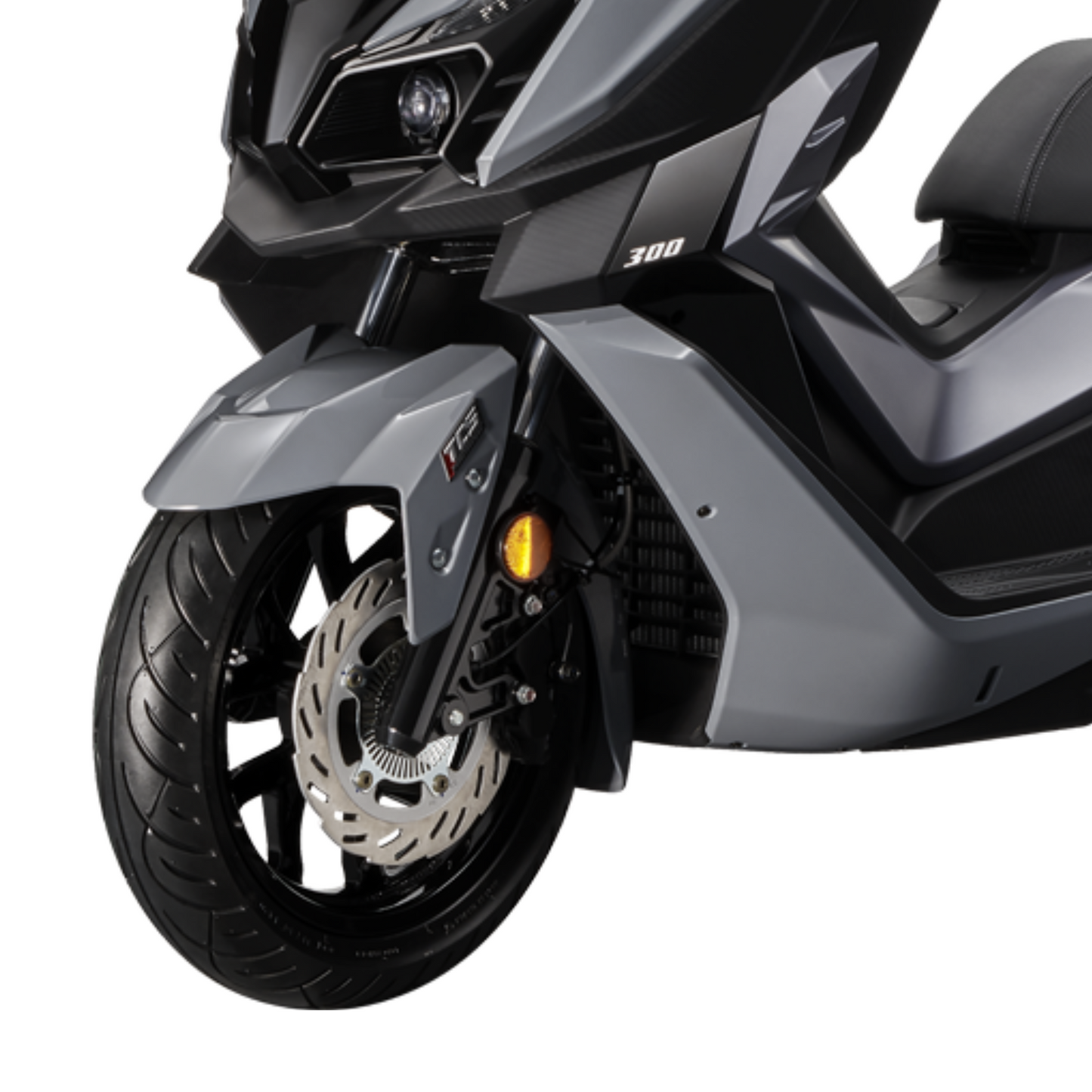 CRUISYM 300